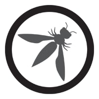 OWASP icon.