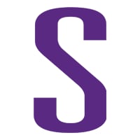 Synopsys icon.